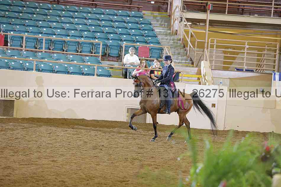 Proof 13yn_26275
