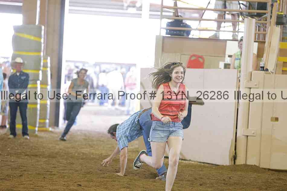 Proof 13yn_26286