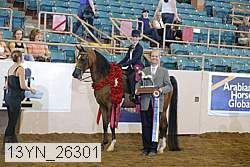 13yn_26301 proof