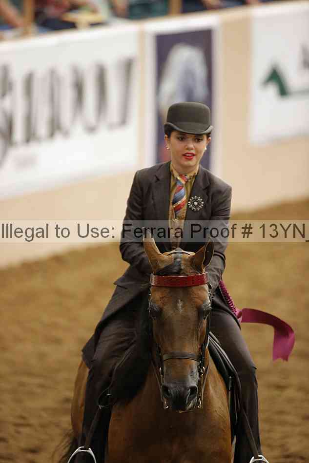 Proof 13yn_26324
