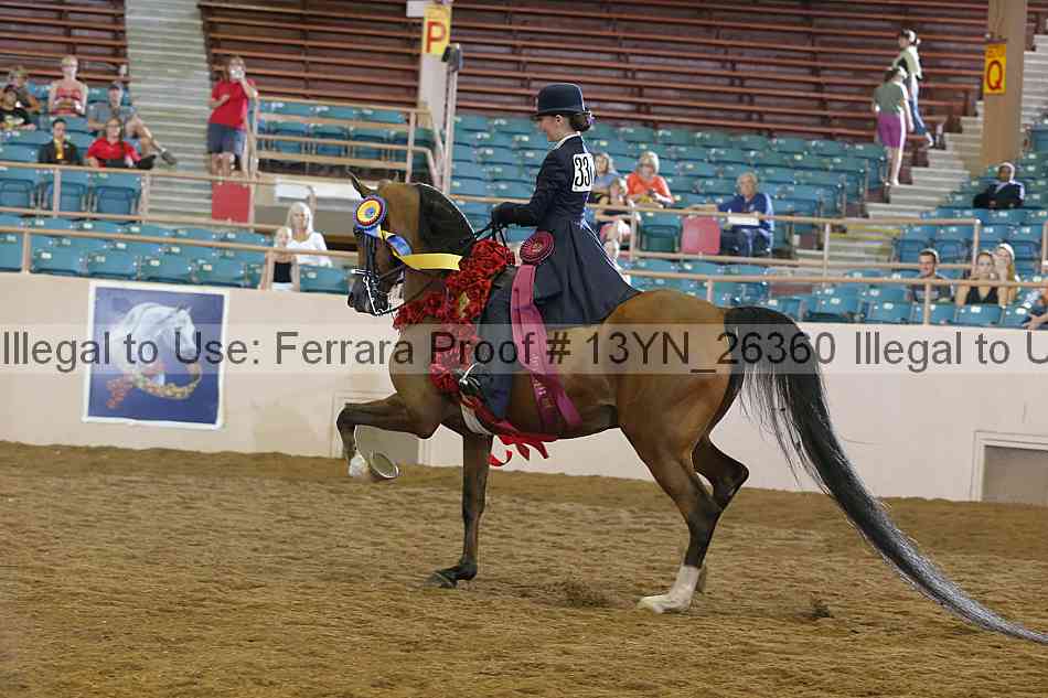 Proof 13yn_26360