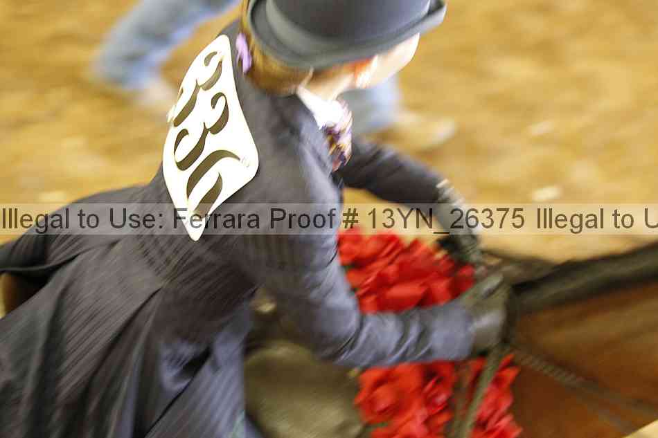 Proof 13yn_26375
