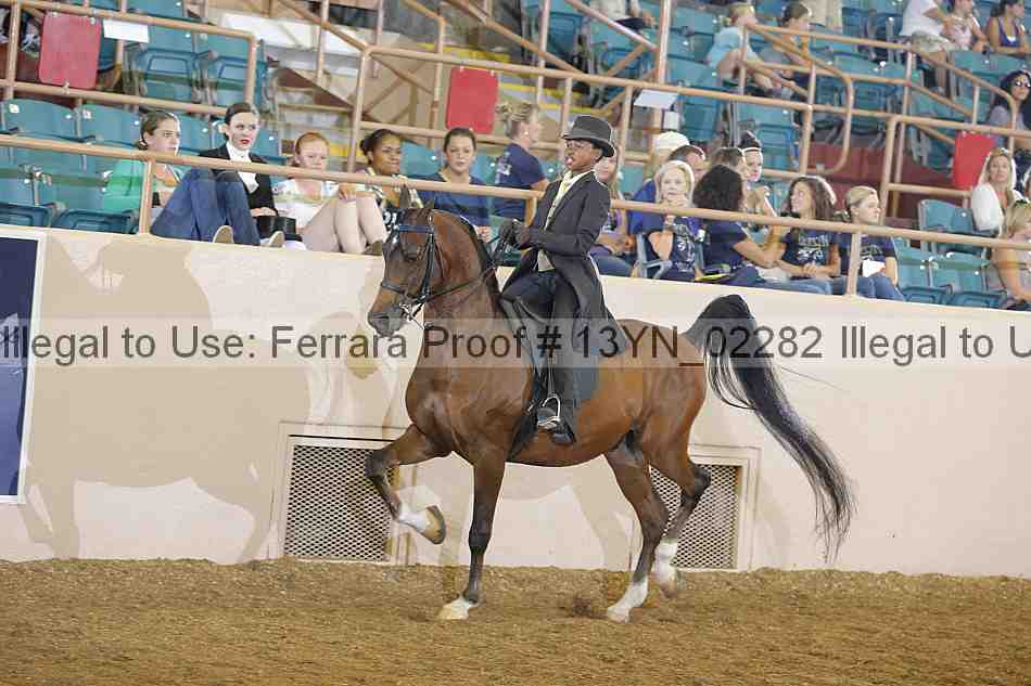 Proof 13yn_02282