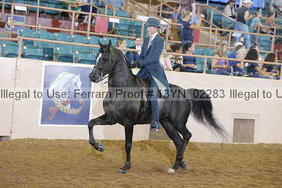 Proof 13yn_02283