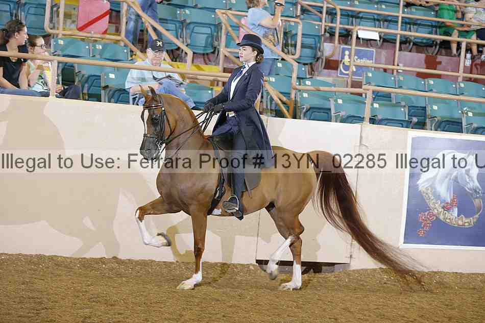 Proof 13yn_02285