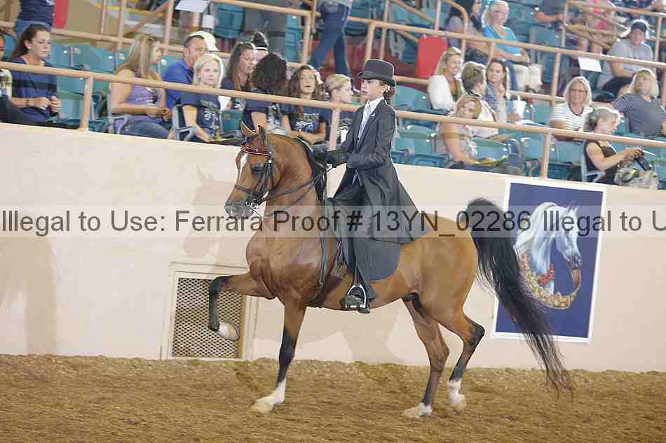 Proof 13yn_02286