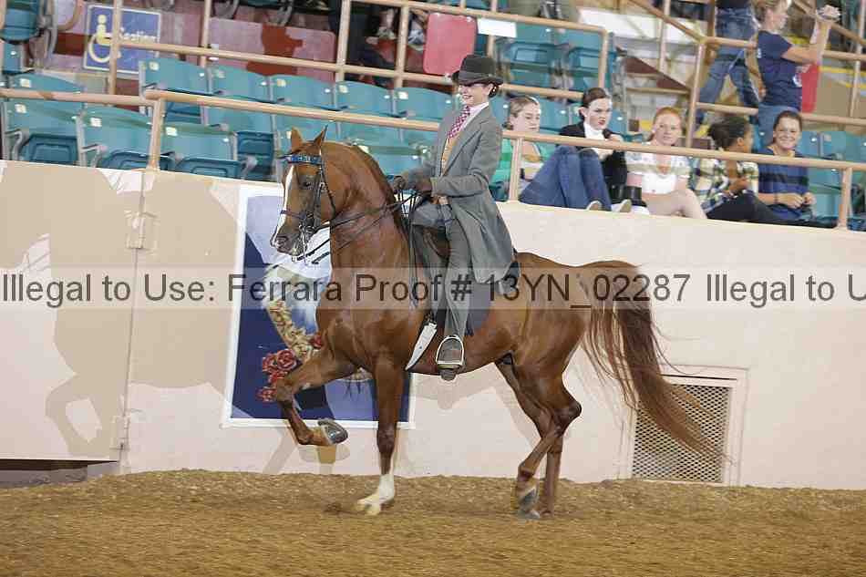 Proof 13yn_02287