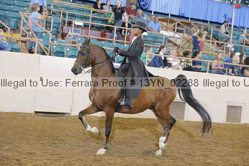 Proof 13yn_02288