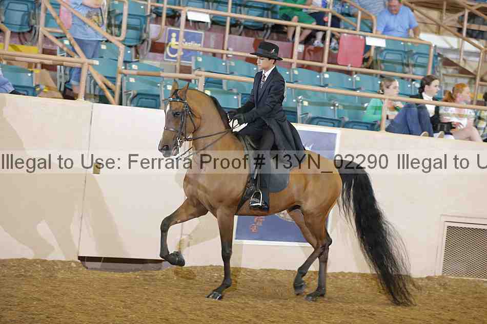 Proof 13yn_02290