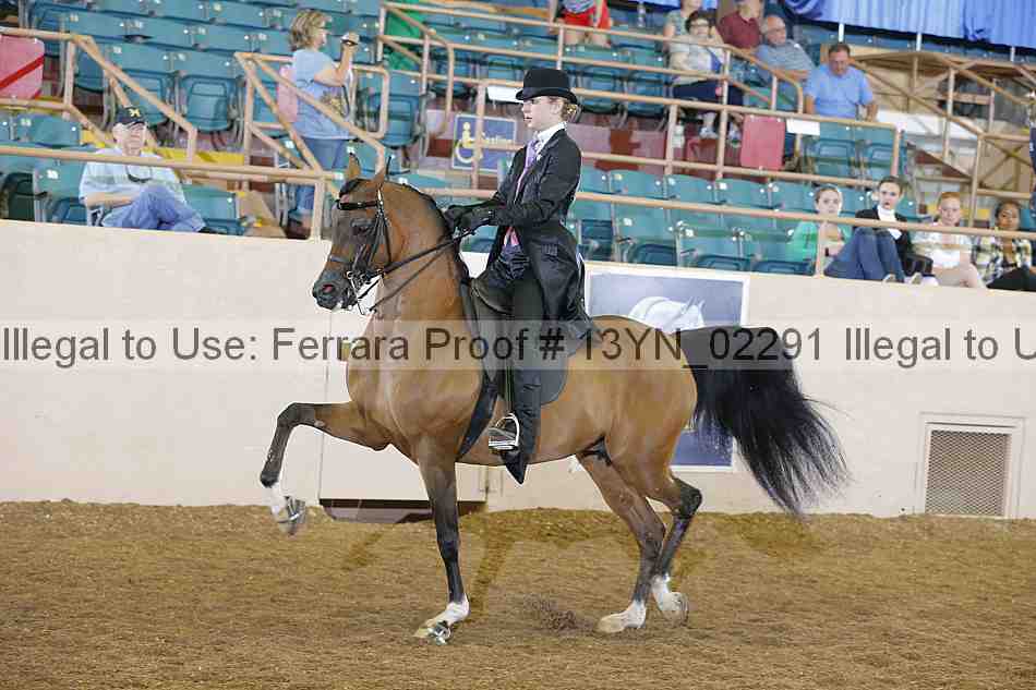 Proof 13yn_02291