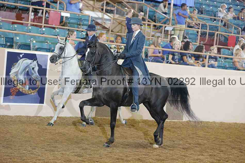 Proof 13yn_02292