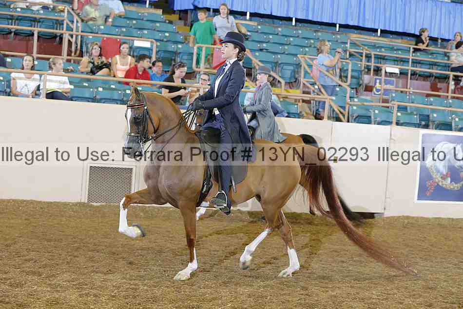 Proof 13yn_02293