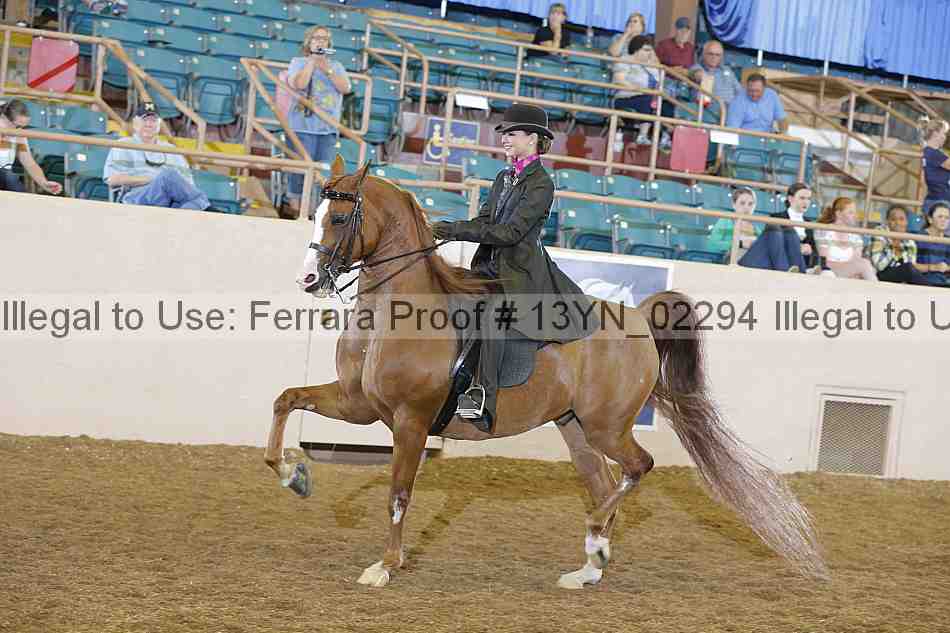 Proof 13yn_02294