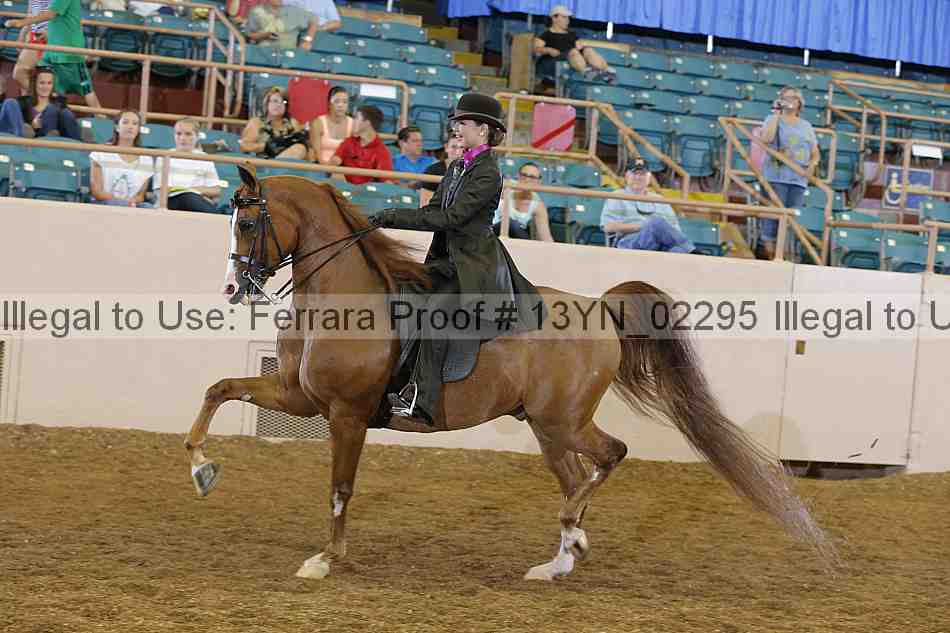Proof 13yn_02295