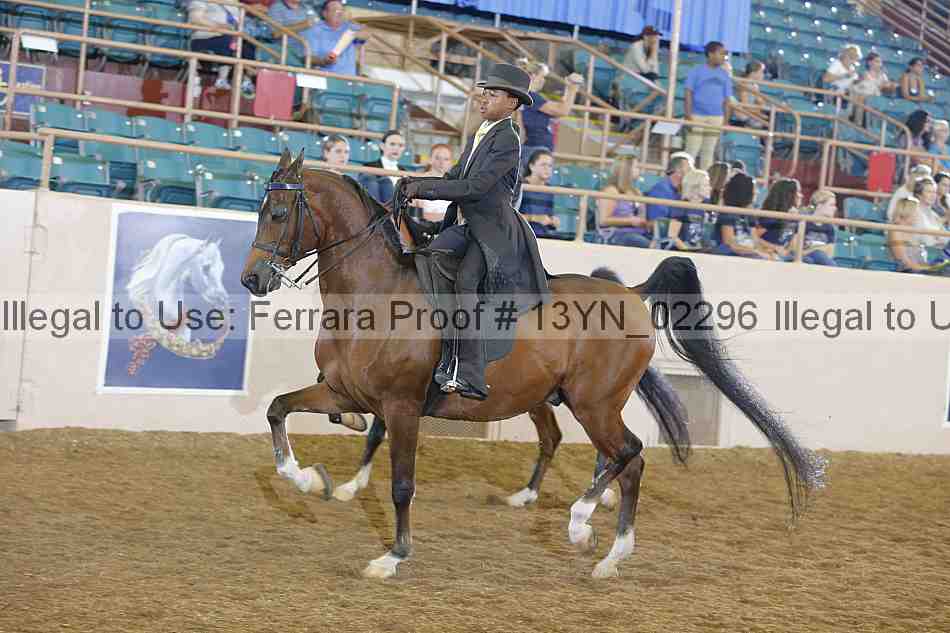 Proof 13yn_02296
