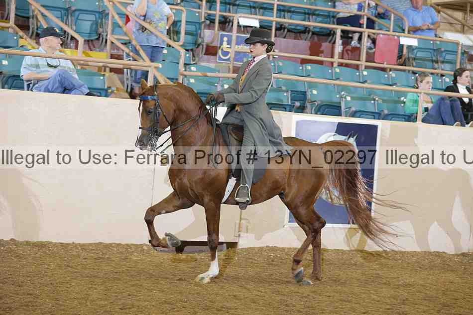 Proof 13yn_02297