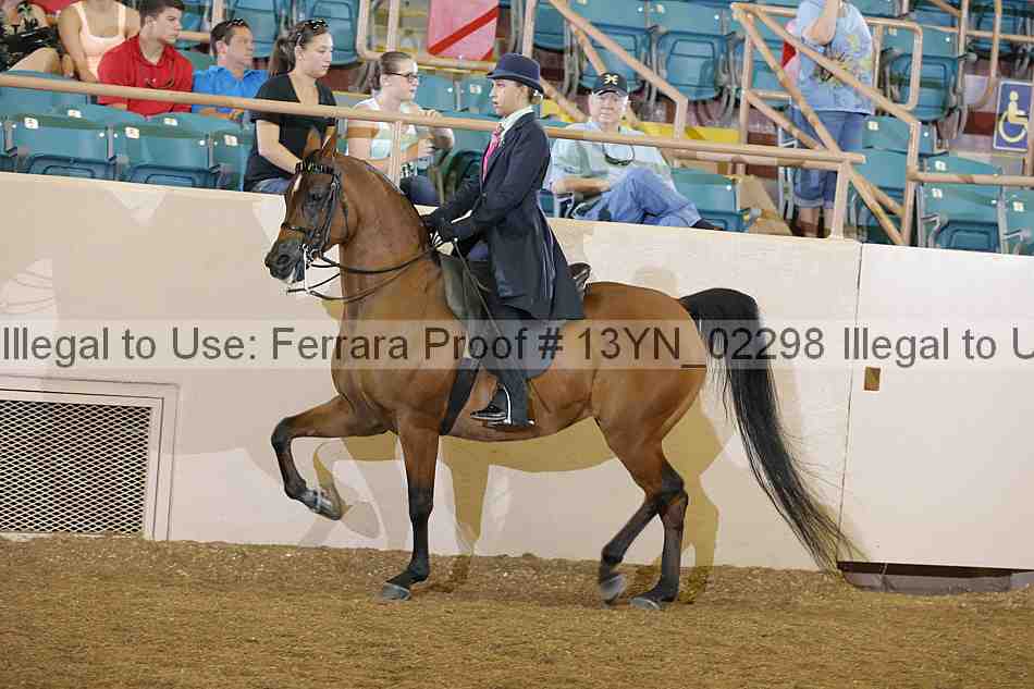 Proof 13yn_02298