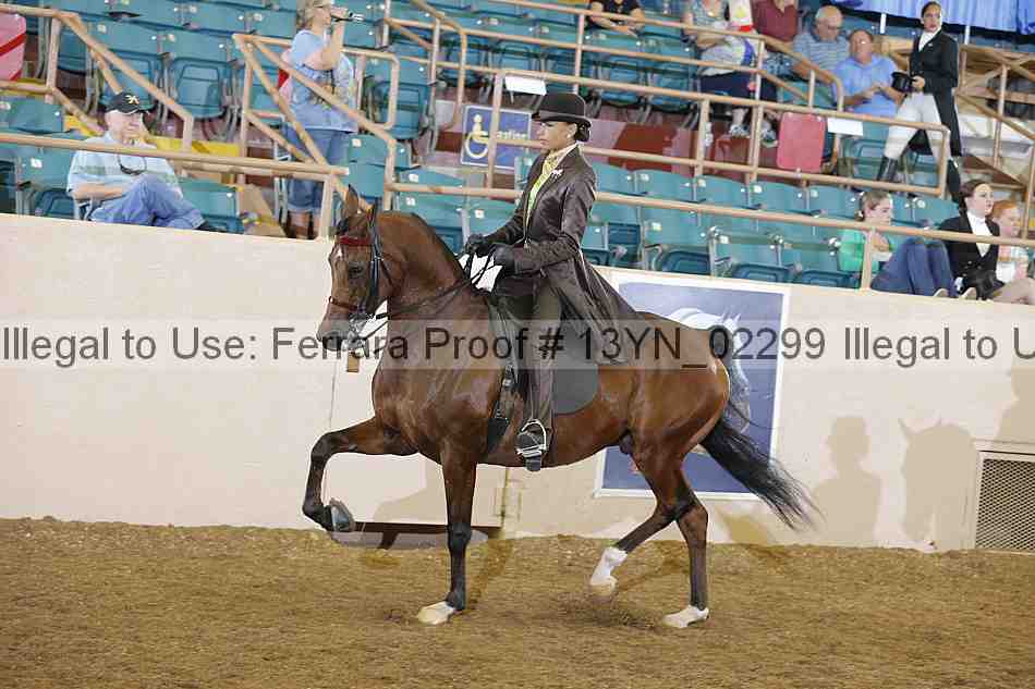 Proof 13yn_02299