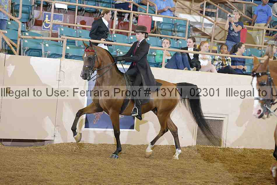 Proof 13yn_02301