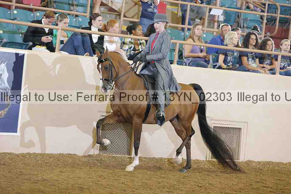 Proof 13yn_02303