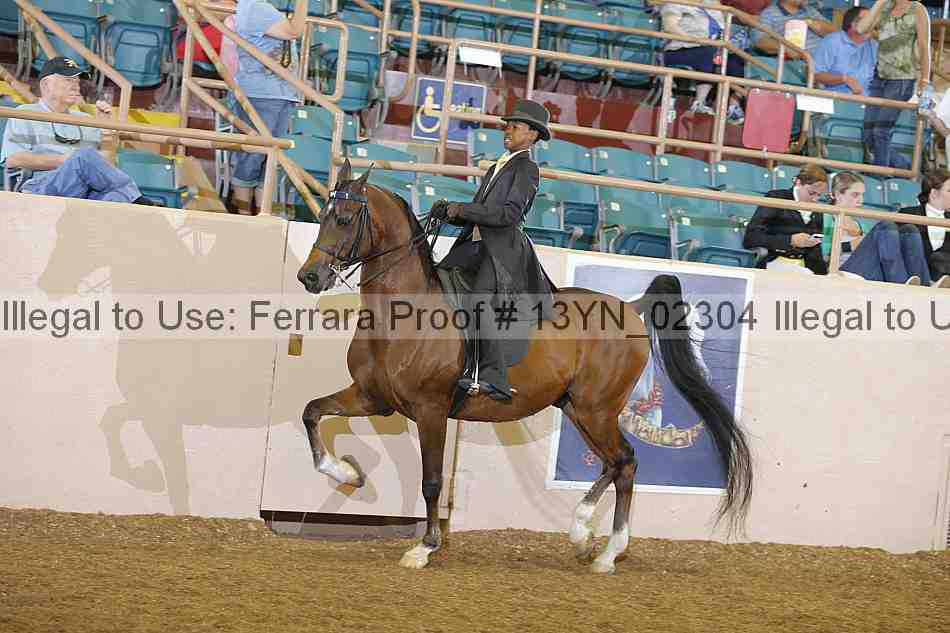 Proof 13yn_02304