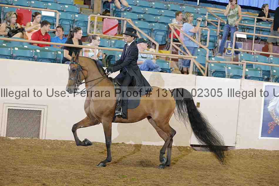 Proof 13yn_02305