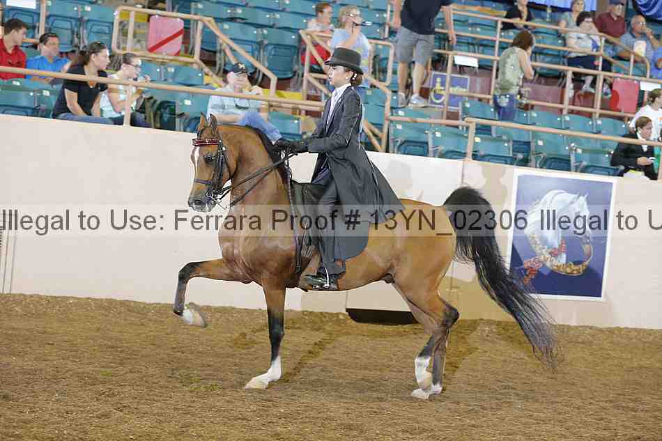 Proof 13yn_02306