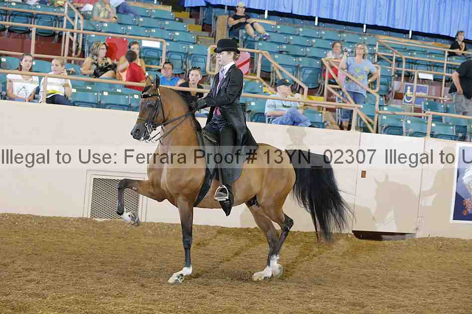 Proof 13yn_02307
