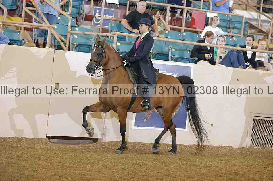 Proof 13yn_02308