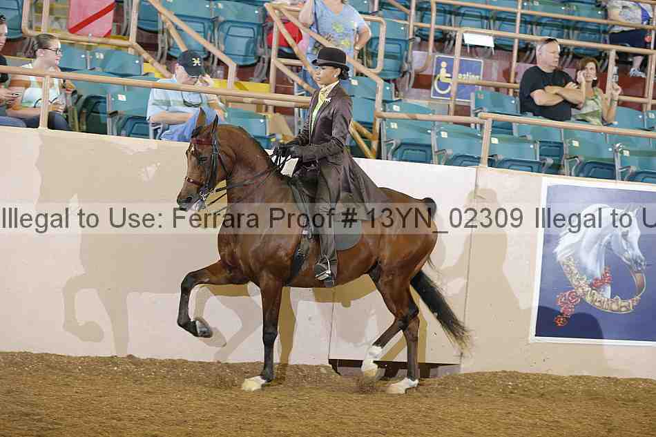 Proof 13yn_02309