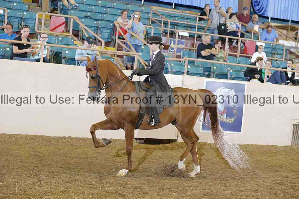 Proof 13yn_02310