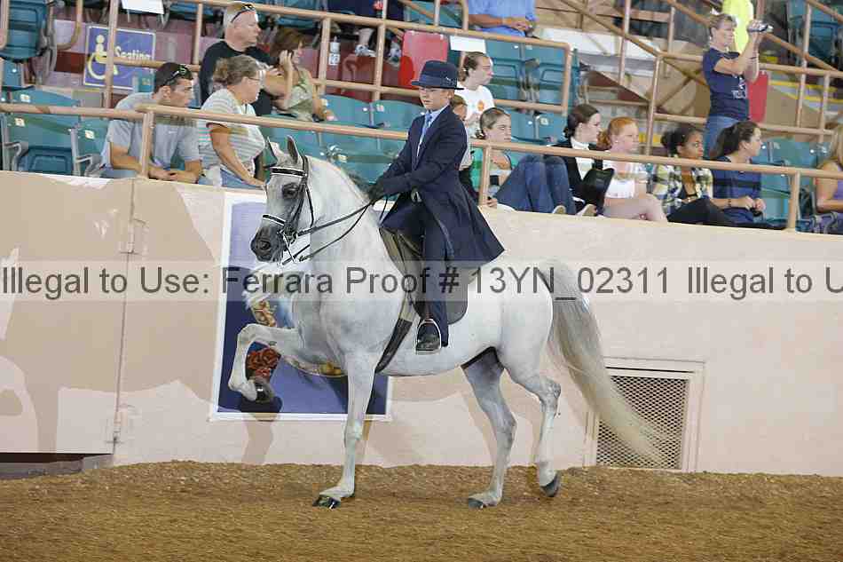 Proof 13yn_02311