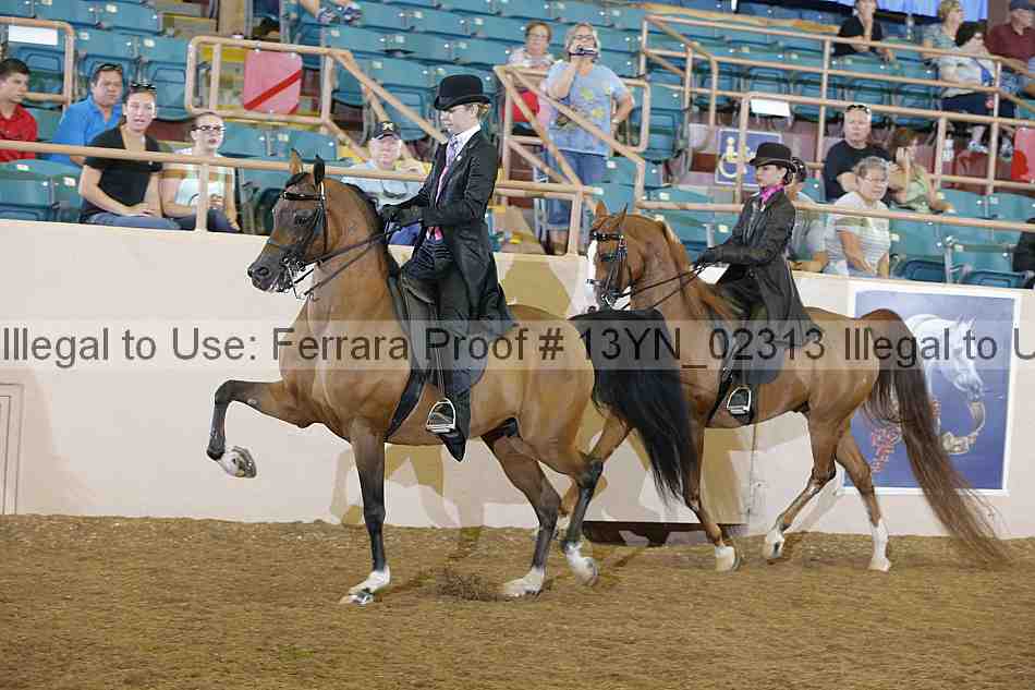 Proof 13yn_02313