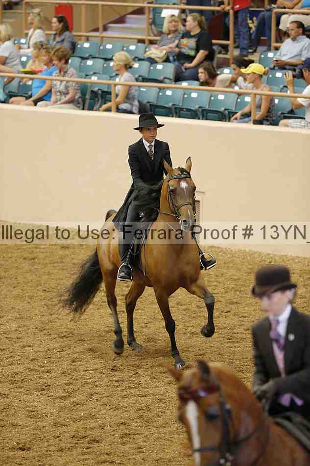 Proof 13yn_02315