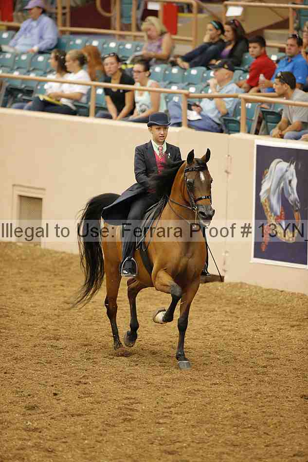 Proof 13yn_02317