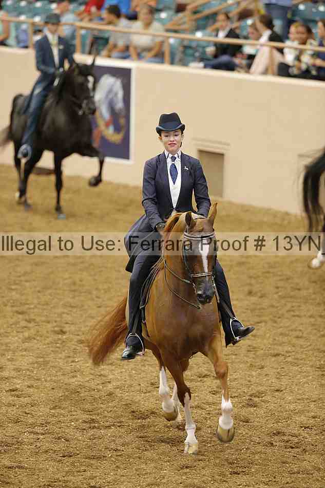 Proof 13yn_02318