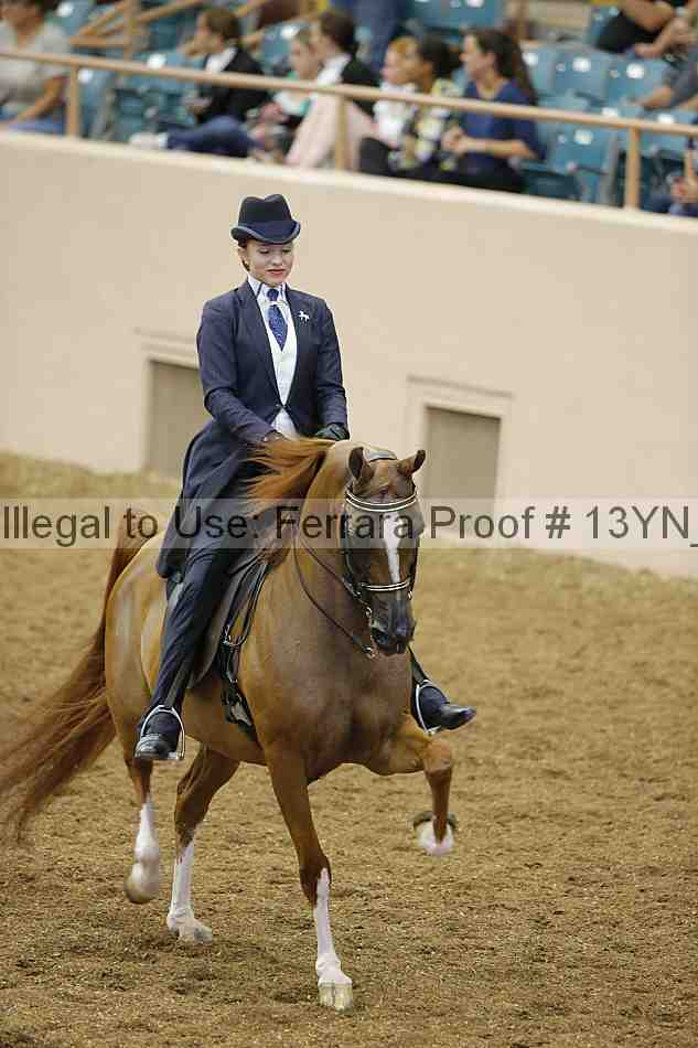 Proof 13yn_02324