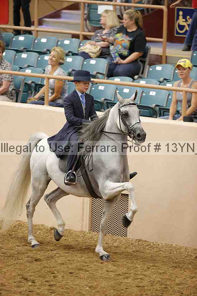 Proof 13yn_02327