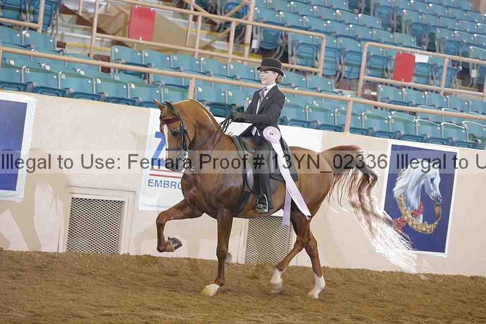 Proof 13yn_02336