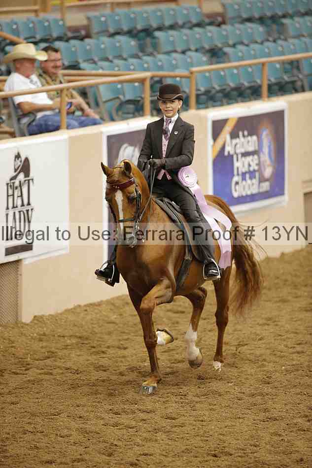 Proof 13yn_02338