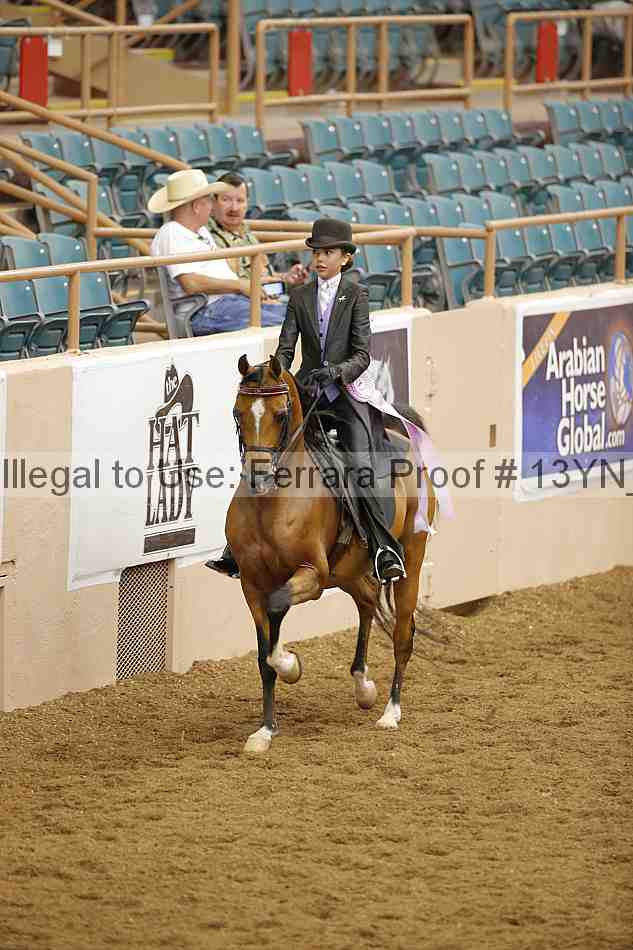 Proof 13yn_02342
