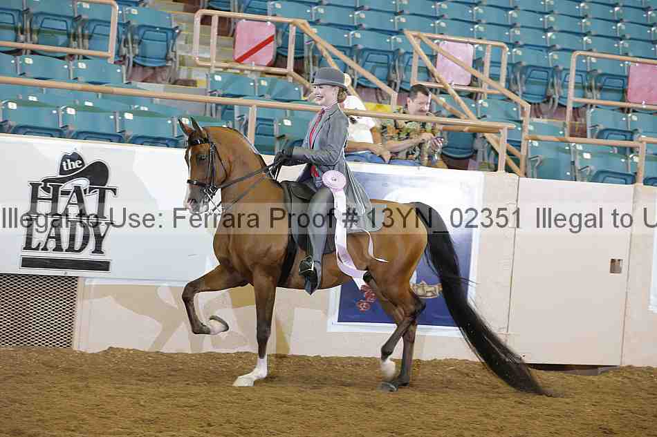 Proof 13yn_02351