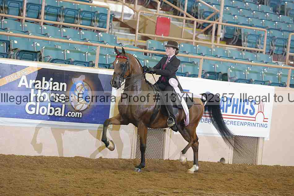 Proof 13yn_02357