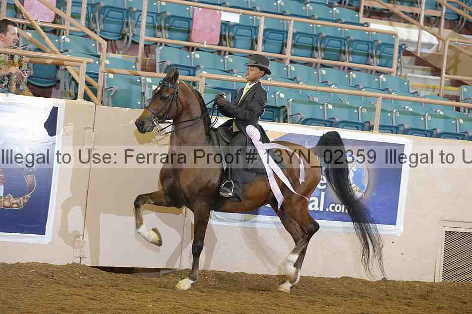 Proof 13yn_02359