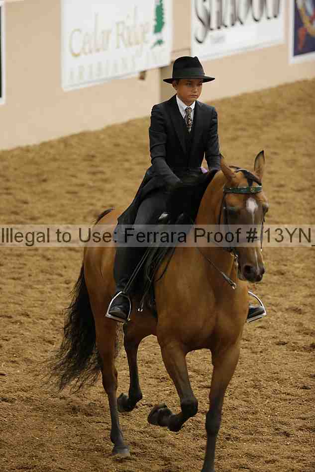 Proof 13yn_02364
