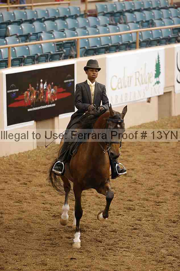 Proof 13yn_02365