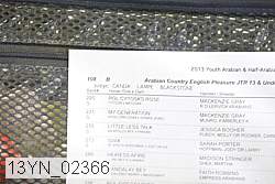 13yn_02366 proof