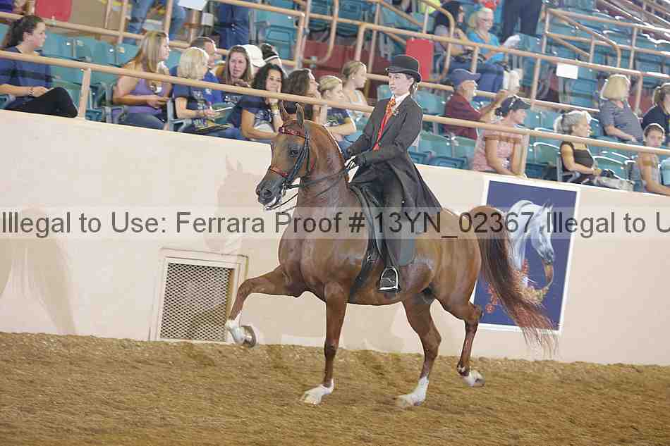 Proof 13yn_02367