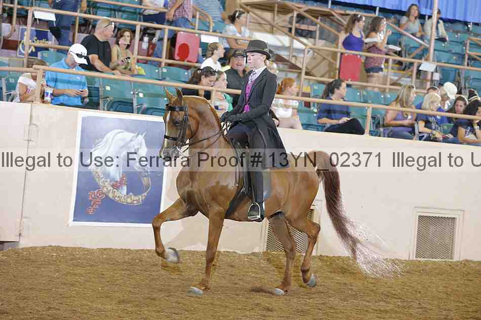 Proof 13yn_02371