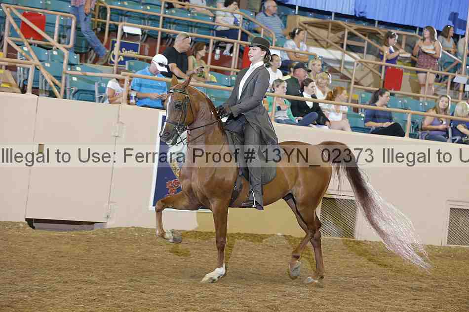 Proof 13yn_02373